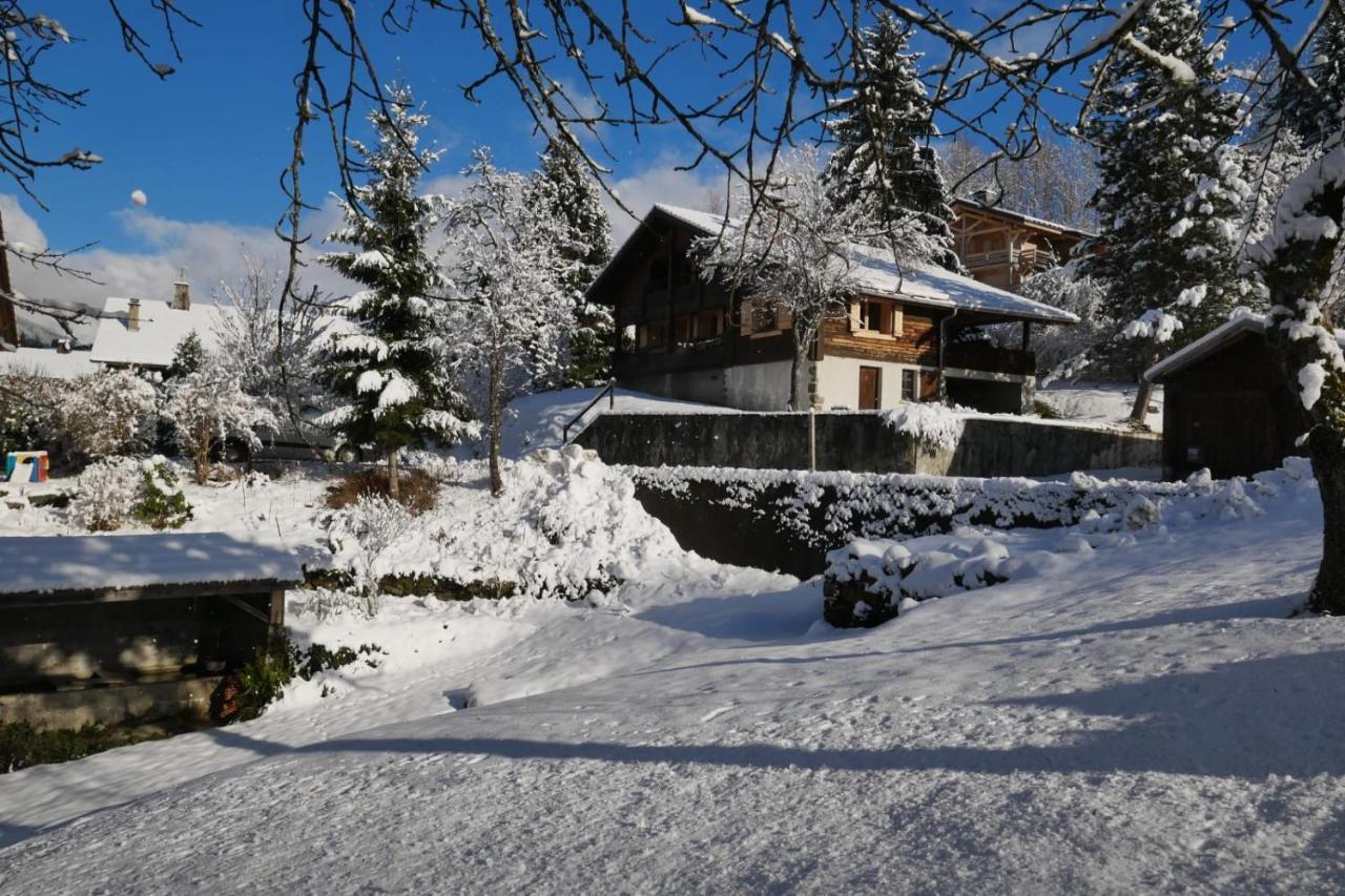 Sous Les Ecotagnes Villa Les Villards-sur-Thônes Kültér fotó