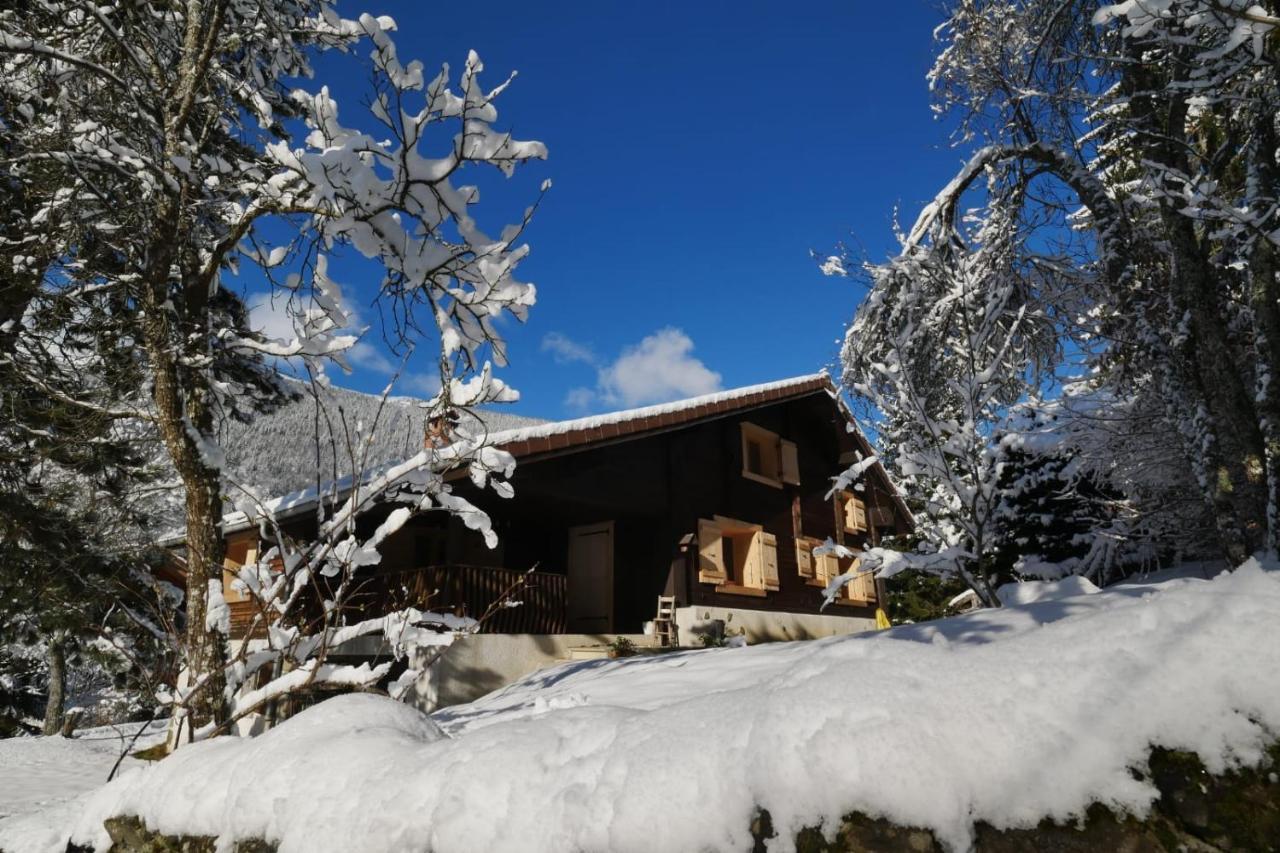 Sous Les Ecotagnes Villa Les Villards-sur-Thônes Kültér fotó