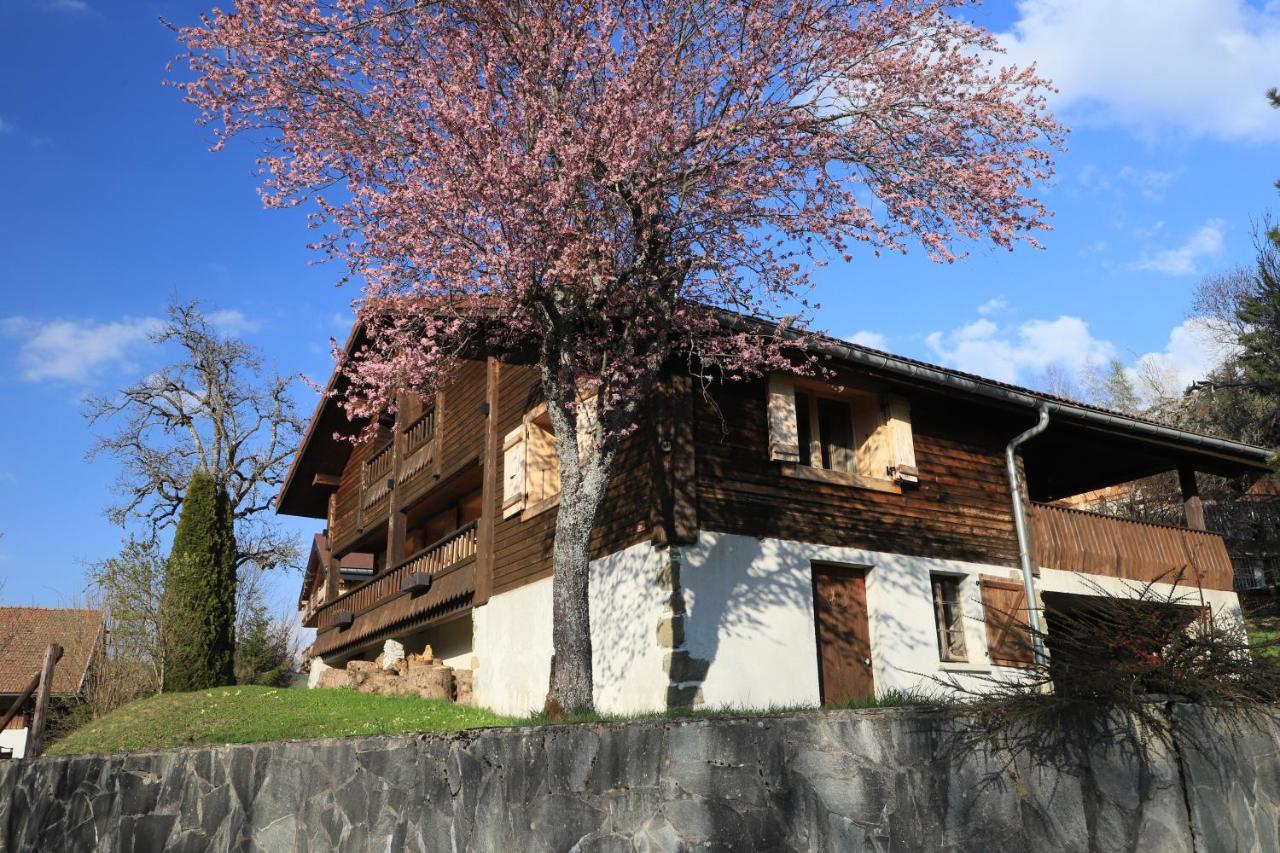Sous Les Ecotagnes Villa Les Villards-sur-Thônes Kültér fotó